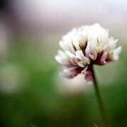 ヒメ日記 2025/11/18 13:53 投稿 しおり TALENT（タレント）