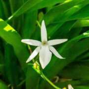 ヒメ日記 2025/11/28 10:37 投稿 しおり TALENT（タレント）