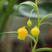 ヒメ日記 2025/11/30 10:02 投稿 しおり TALENT（タレント）