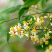 ヒメ日記 2025/12/09 12:06 投稿 しおり TALENT（タレント）