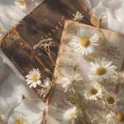 ヒメ日記 2025/01/26 21:07 投稿 新人・若菜(わかな) グランドオペラ福岡