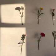 ヒメ日記 2025/02/19 15:41 投稿 新人・若菜(わかな) グランドオペラ福岡