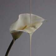 ヒメ日記 2025/02/20 19:32 投稿 新人・若菜(わかな) グランドオペラ福岡