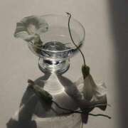 ヒメ日記 2025/02/21 14:01 投稿 新人・若菜(わかな) グランドオペラ福岡