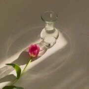 ヒメ日記 2025/02/21 14:31 投稿 新人・若菜(わかな) グランドオペラ福岡