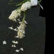 ヒメ日記 2025/02/24 15:05 投稿 新人・若菜(わかな) グランドオペラ福岡