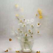 ヒメ日記 2025/02/24 18:03 投稿 新人・若菜(わかな) グランドオペラ福岡