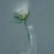 ヒメ日記 2025/02/24 20:15 投稿 新人・若菜(わかな) グランドオペラ福岡