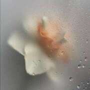 ヒメ日記 2025/02/25 11:16 投稿 新人・若菜(わかな) グランドオペラ福岡