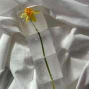 ヒメ日記 2025/02/25 19:13 投稿 新人・若菜(わかな) グランドオペラ福岡