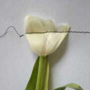 ヒメ日記 2025/02/25 20:34 投稿 新人・若菜(わかな) グランドオペラ福岡