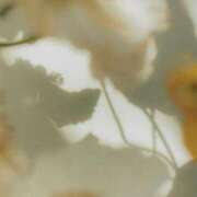 ヒメ日記 2025/03/14 22:51 投稿 新人・若菜(わかな) グランドオペラ福岡