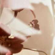 ヒメ日記 2025/03/15 16:11 投稿 新人・若菜(わかな) グランドオペラ福岡