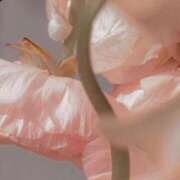 ヒメ日記 2025/03/15 18:05 投稿 新人・若菜(わかな) グランドオペラ福岡