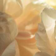 ヒメ日記 2025/03/15 19:56 投稿 新人・若菜(わかな) グランドオペラ福岡