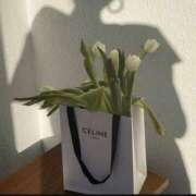 ヒメ日記 2025/03/16 02:21 投稿 新人・若菜(わかな) グランドオペラ福岡