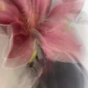 ヒメ日記 2025/03/18 18:31 投稿 新人・若菜(わかな) グランドオペラ福岡