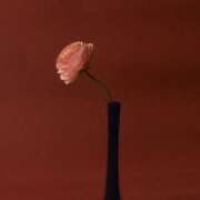 ヒメ日記 2025/03/19 20:02 投稿 新人・若菜(わかな) グランドオペラ福岡