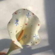 ヒメ日記 2025/03/20 18:02 投稿 新人・若菜(わかな) グランドオペラ福岡