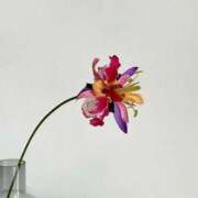 ヒメ日記 2025/03/20 19:51 投稿 新人・若菜(わかな) グランドオペラ福岡