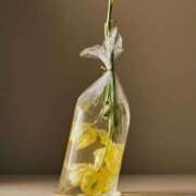 ヒメ日記 2025/03/22 19:51 投稿 新人・若菜(わかな) グランドオペラ福岡