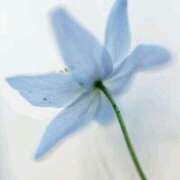 ヒメ日記 2025/03/22 20:11 投稿 新人・若菜(わかな) グランドオペラ福岡