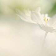 ヒメ日記 2025/03/24 15:41 投稿 新人・若菜(わかな) グランドオペラ福岡