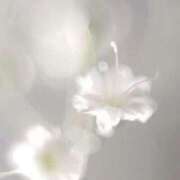 ヒメ日記 2025/03/24 22:56 投稿 新人・若菜(わかな) グランドオペラ福岡