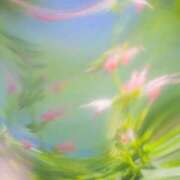 ヒメ日記 2025/03/25 12:28 投稿 新人・若菜(わかな) グランドオペラ福岡