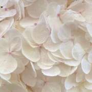 ヒメ日記 2025/03/25 15:55 投稿 新人・若菜(わかな) グランドオペラ福岡