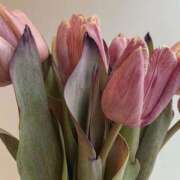 ヒメ日記 2025/03/25 22:15 投稿 新人・若菜(わかな) グランドオペラ福岡