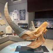 ヒメ日記 2025/03/26 15:10 投稿 新人・若菜(わかな) グランドオペラ福岡