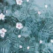 ヒメ日記 2025/03/27 09:02 投稿 新人・若菜(わかな) グランドオペラ福岡