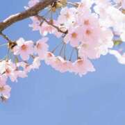 ヒメ日記 2025/03/29 00:41 投稿 新人・若菜(わかな) グランドオペラ福岡