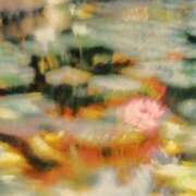 ヒメ日記 2025/04/05 22:41 投稿 新人・若菜(わかな) グランドオペラ福岡