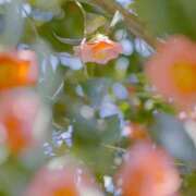 ヒメ日記 2025/04/09 20:57 投稿 新人・若菜(わかな) グランドオペラ福岡