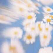 ヒメ日記 2025/04/19 20:42 投稿 新人・若菜(わかな) グランドオペラ福岡