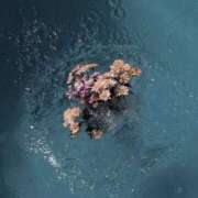 ヒメ日記 2025/04/25 14:51 投稿 新人・若菜(わかな) グランドオペラ福岡