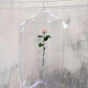 ヒメ日記 2025/04/26 10:18 投稿 新人・若菜(わかな) グランドオペラ福岡