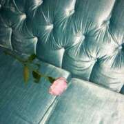 ヒメ日記 2025/04/27 09:36 投稿 新人・若菜(わかな) グランドオペラ福岡