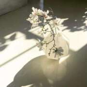 ヒメ日記 2025/04/27 18:51 投稿 新人・若菜(わかな) グランドオペラ福岡