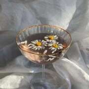 ヒメ日記 2025/04/27 23:17 投稿 新人・若菜(わかな) グランドオペラ福岡