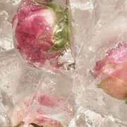 ヒメ日記 2025/05/05 17:02 投稿 新人・若菜(わかな) グランドオペラ福岡