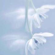 ヒメ日記 2025/05/06 19:34 投稿 新人・若菜(わかな) グランドオペラ福岡