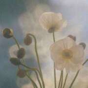 ヒメ日記 2025/05/09 21:29 投稿 新人・若菜(わかな) グランドオペラ福岡