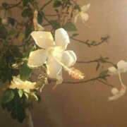 ヒメ日記 2025/05/13 13:51 投稿 新人・若菜(わかな) グランドオペラ福岡