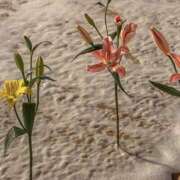 ヒメ日記 2025/05/20 11:16 投稿 新人・若菜(わかな) グランドオペラ福岡