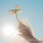 ヒメ日記 2025/05/20 13:21 投稿 新人・若菜(わかな) グランドオペラ福岡