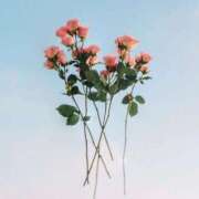 ヒメ日記 2025/05/20 13:36 投稿 新人・若菜(わかな) グランドオペラ福岡