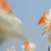 ヒメ日記 2025/05/20 13:52 投稿 新人・若菜(わかな) グランドオペラ福岡